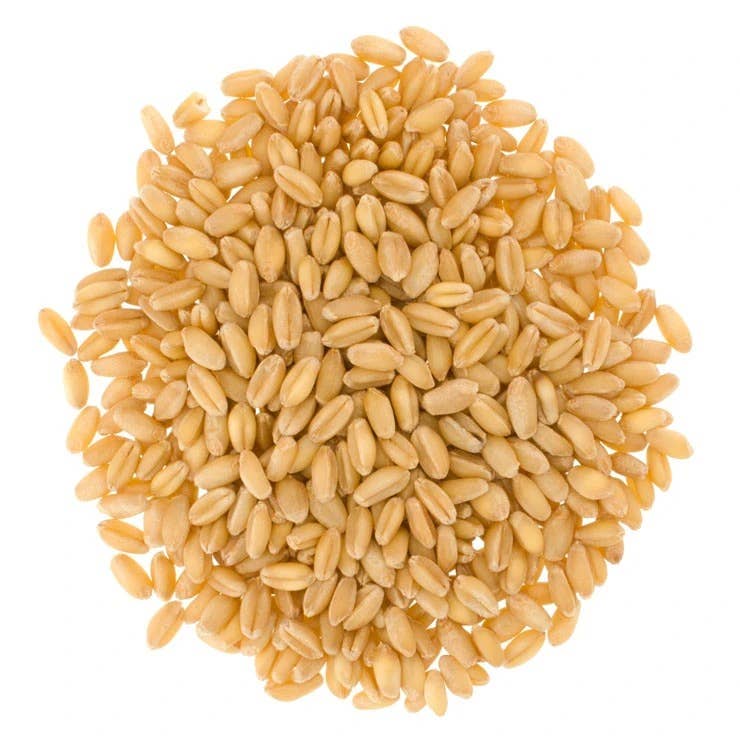 Hard White Wheat Berries